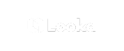 Logo vom Tool Looka